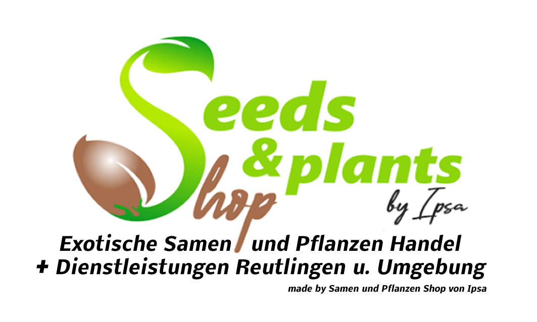 Logo-Neu-2024